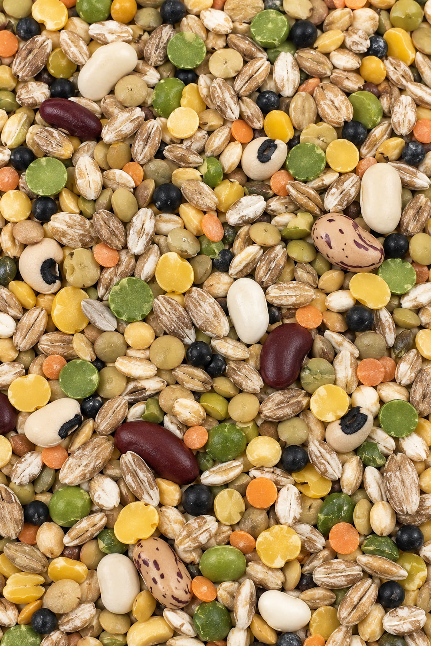 Misto Legumi e Cereali
