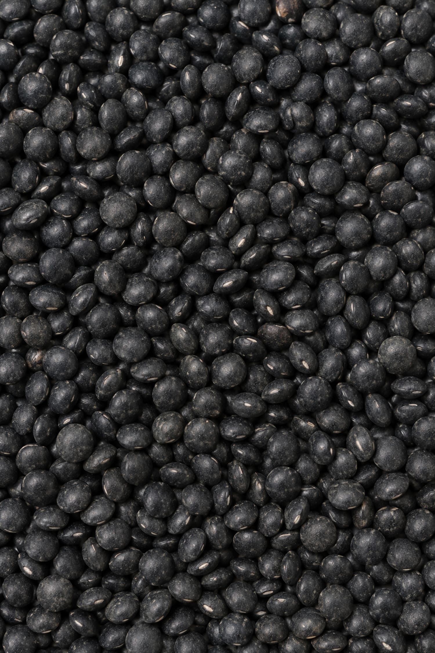 Lenticchie Nere