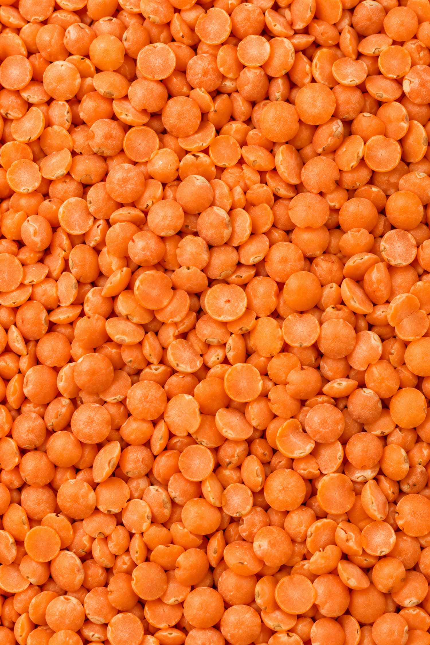 Lenticchie Rosse decorticate