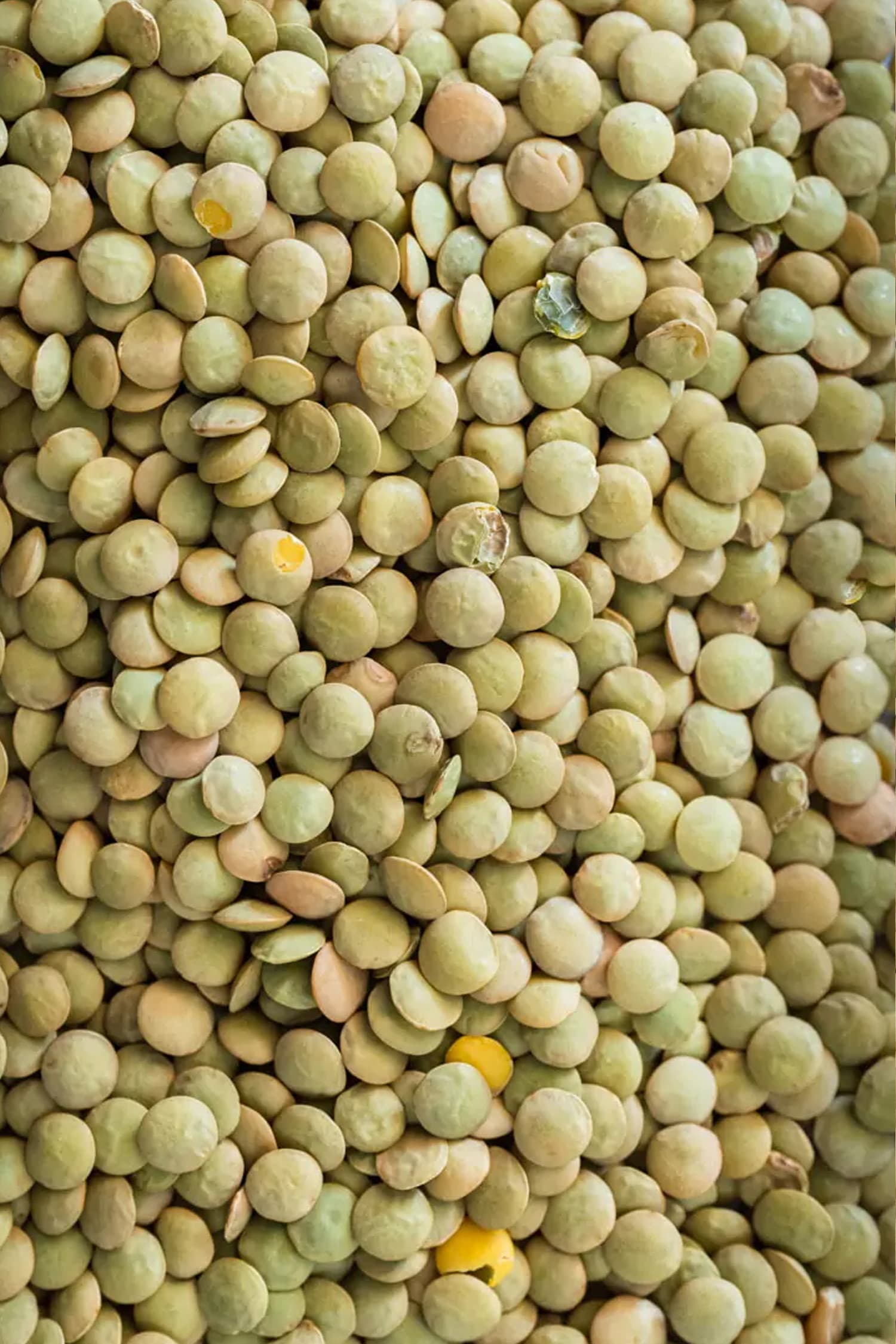 Lenticchie Verdi