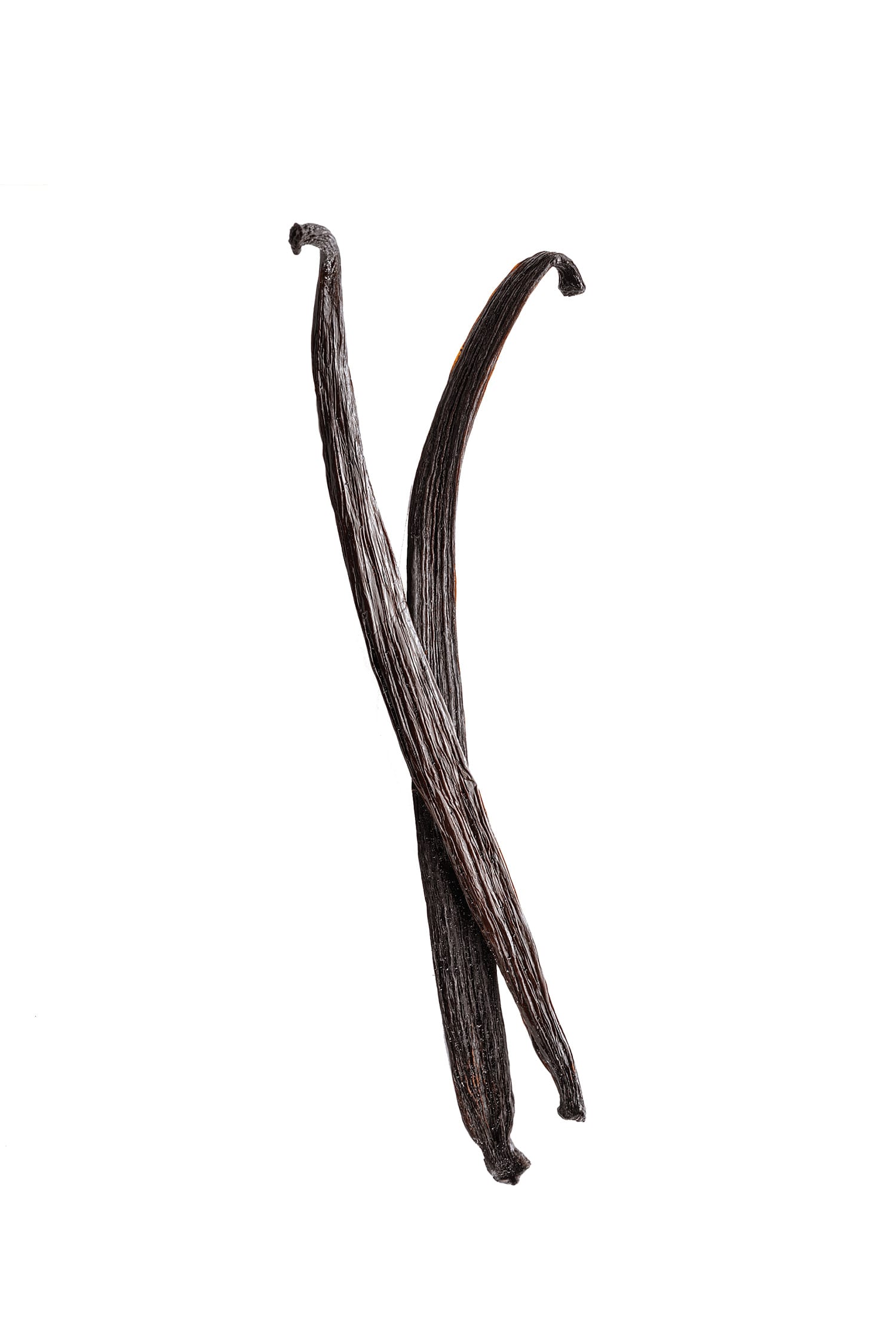 Vaniglia Bourbon del Madagascar - Grand Cru – Baccelli Gourmet Grade A - 18 cm